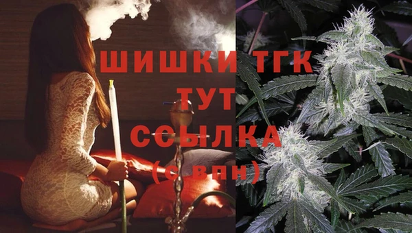 твердый Кулебаки