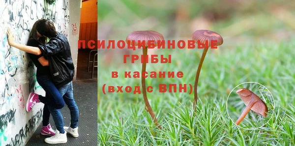 твердый Кулебаки