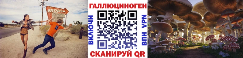 Купить закладки  Апшеронск  Псилоцибиновые грибы GOLDEN TEACHER 